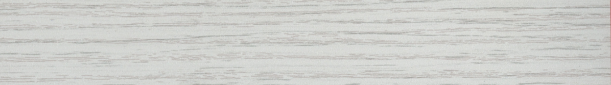 EUKALIPTO KOALA [EUCALIPTO] - Galleria 2