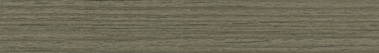 OLMO SALIX - Galleria 2